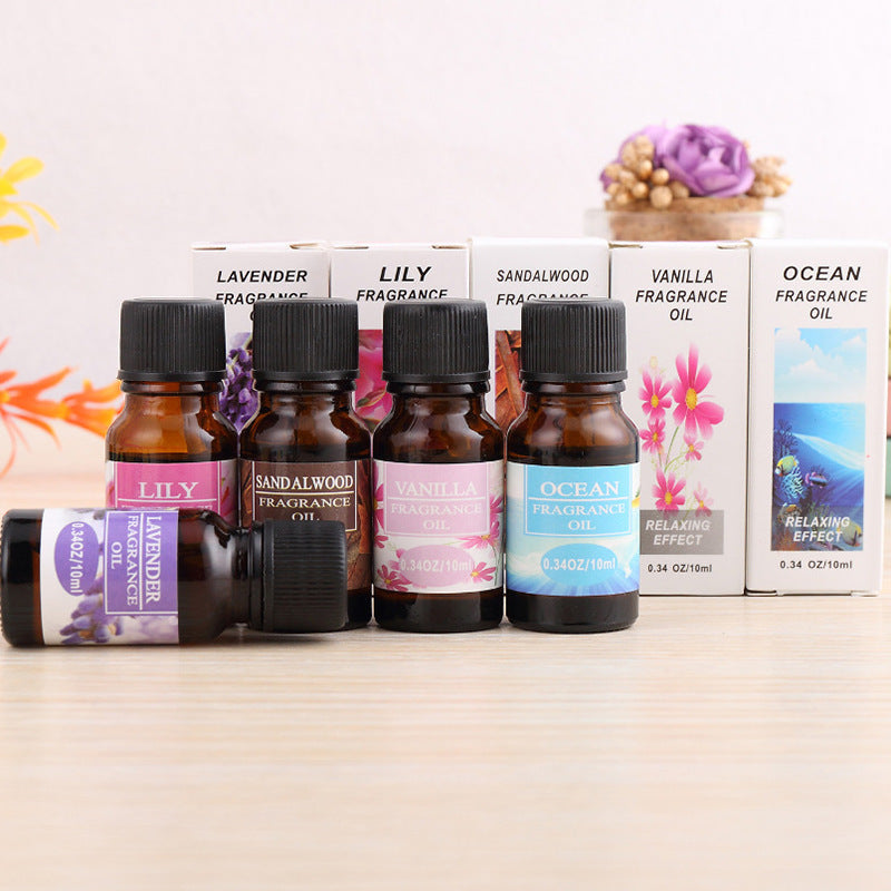 Aromatherapy essential oil humidifier - WildSteam Wellness