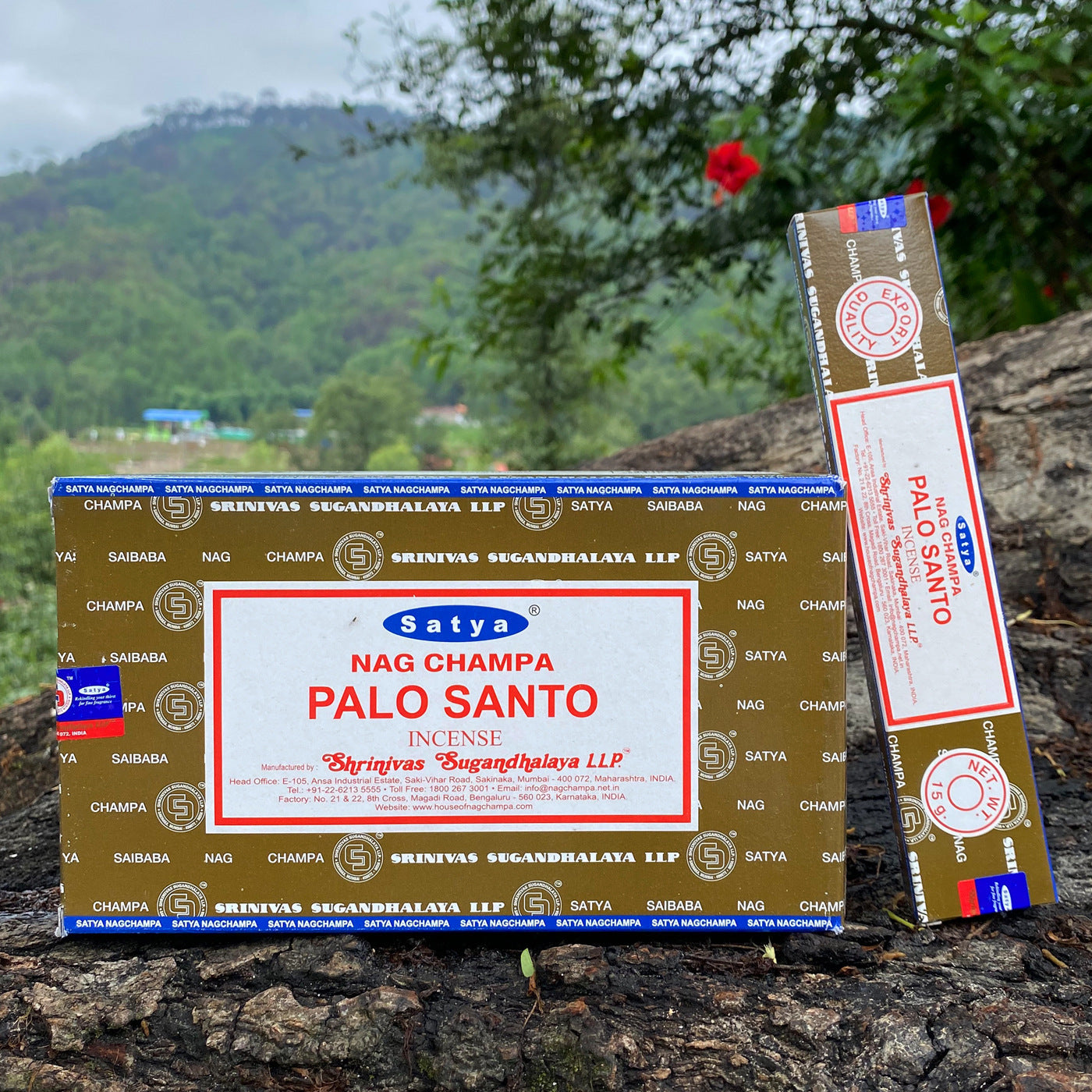 Saibaba Bamboo Stick Incense Stick Incense 15g - WildSteam Wellness