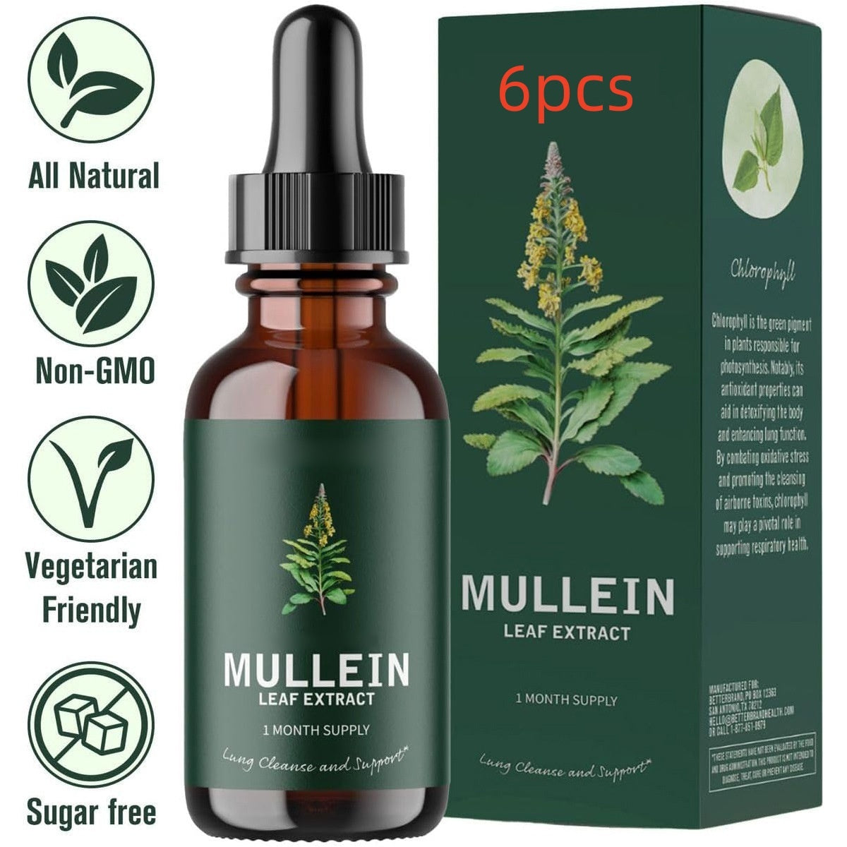 Verbascum Thapsus Leaf Extract Drops – Breathe Better, Naturall - WildSteam Wellness
