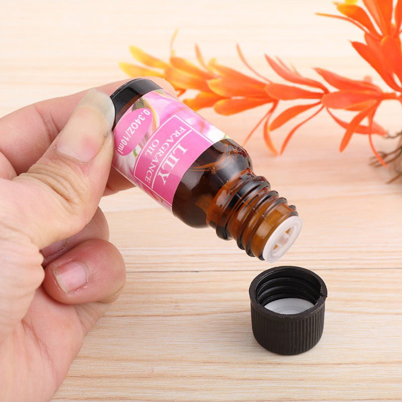 Aromatherapy essential oil humidifier - WildSteam Wellness