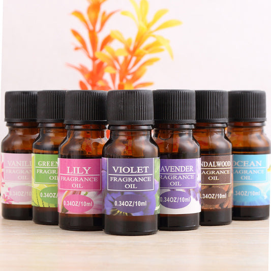 Aromatherapy essential oil humidifier - WildSteam Wellness