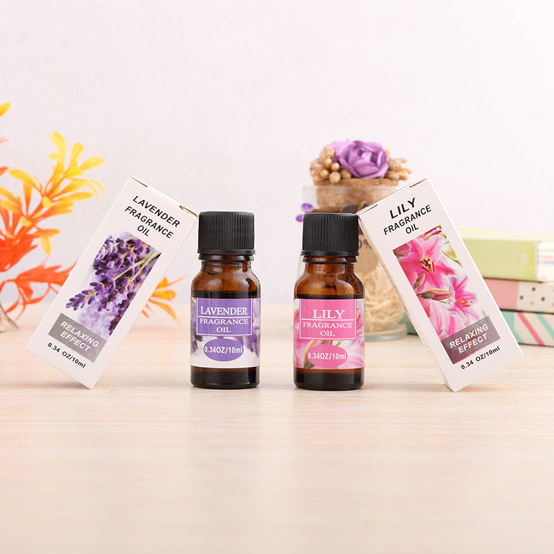 Aromatherapy essential oil humidifier - WildSteam Wellness