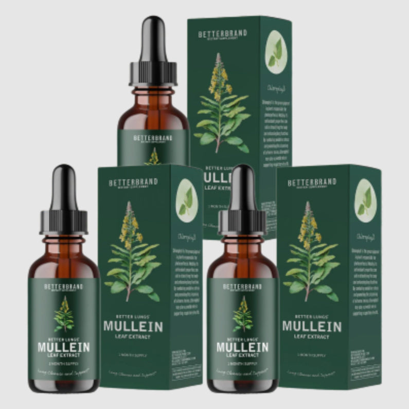 Verbascum Thapsus Leaf Extract Drops – Breathe Better, Naturall - WildSteam Wellness