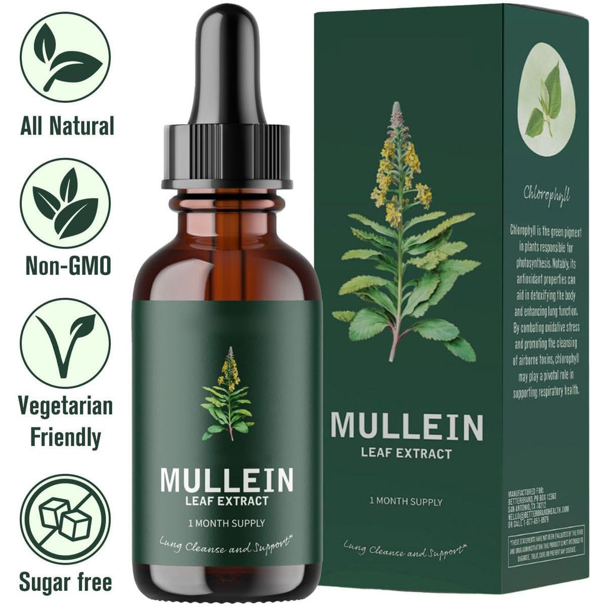 Verbascum Thapsus Leaf Extract Drops – Breathe Better, Naturall - WildSteam Wellness