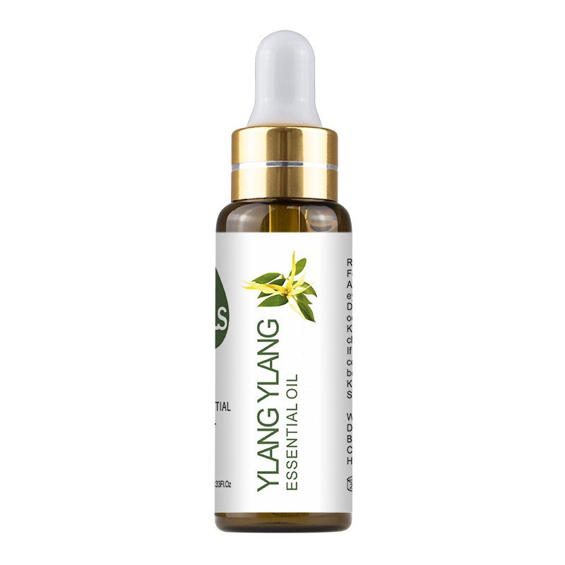 MAYJAM Pure Essential Oil – 100% Natural Aromatherapy for Mind & Space - WildSteam Wellness