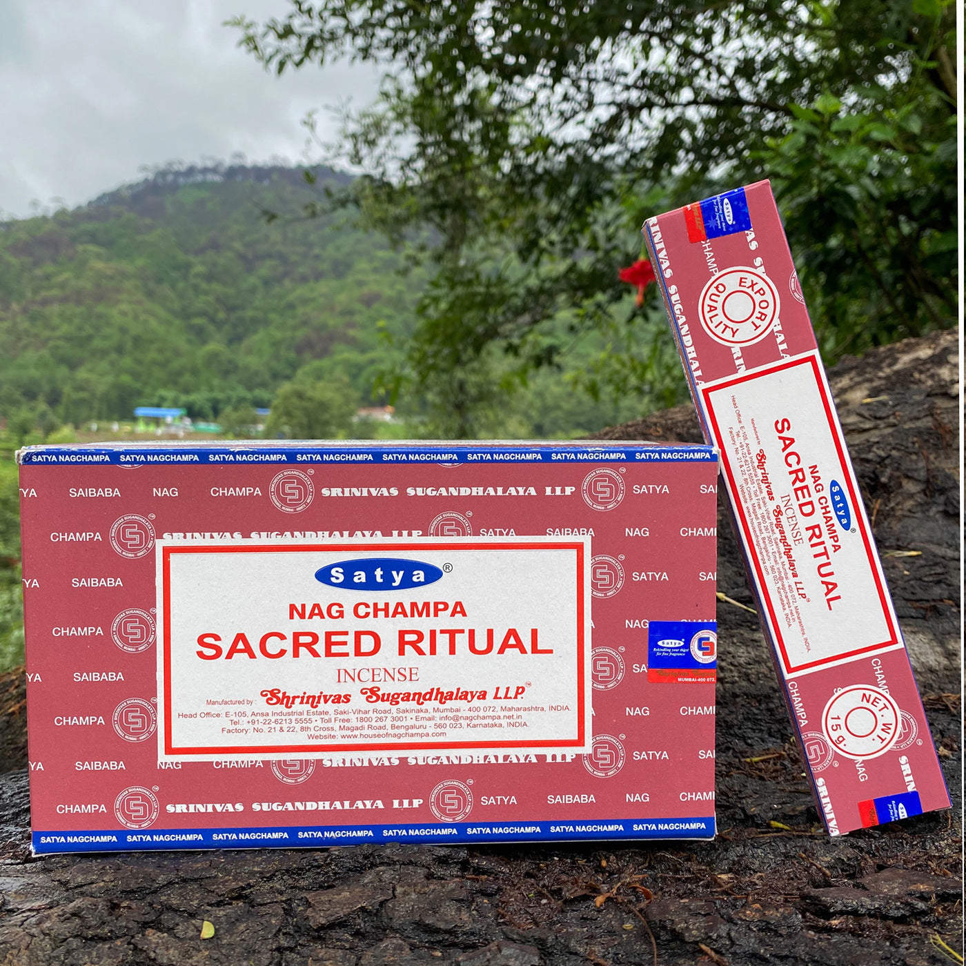 Saibaba Bamboo Stick Incense Stick Incense 15g - WildSteam Wellness