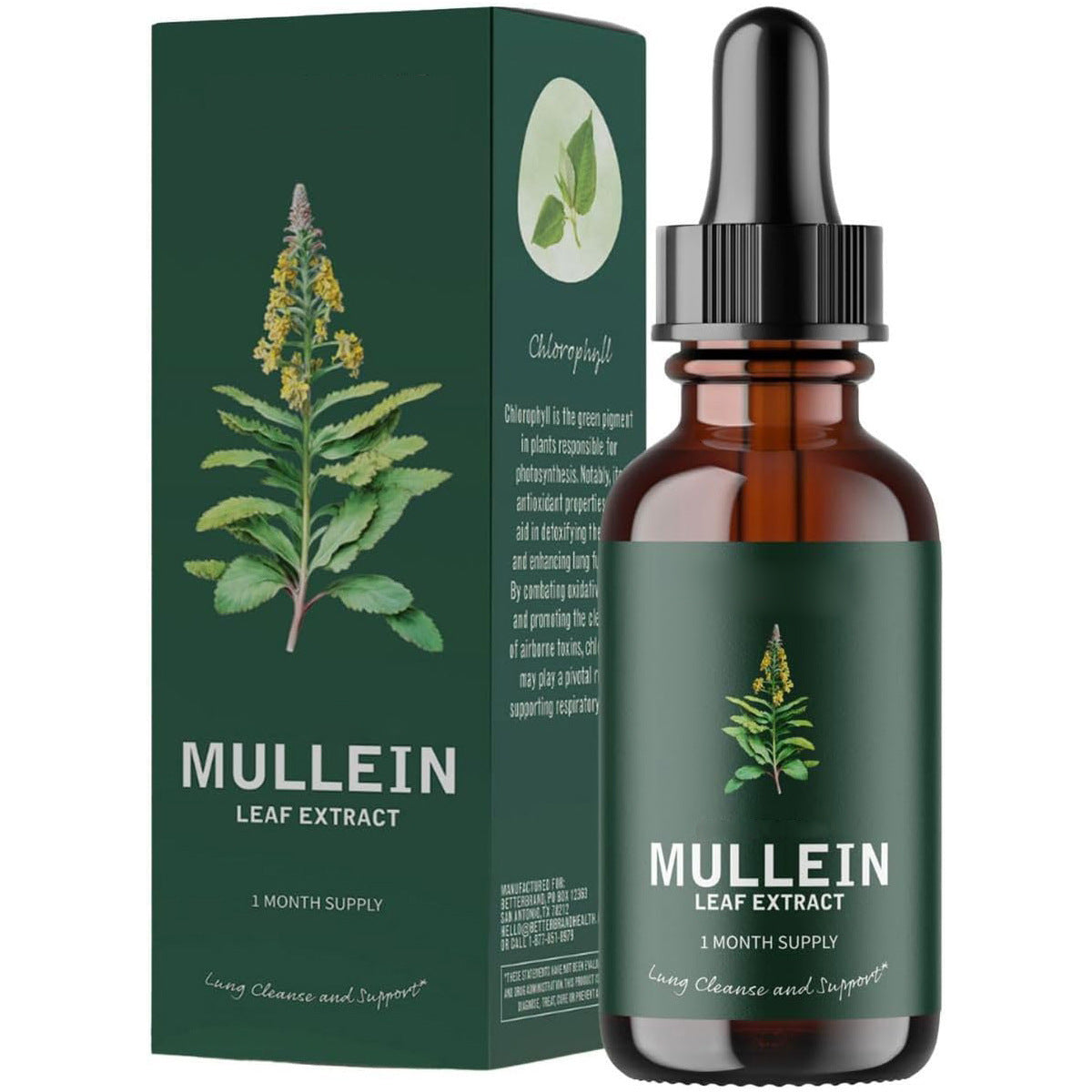 Verbascum Thapsus Leaf Extract Drops – Breathe Better, Naturall - WildSteam Wellness